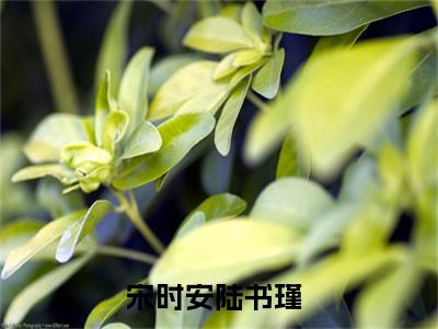 宋时安陆书瑾最新章节免费阅读-宋时安陆书瑾全文无弹窗试读