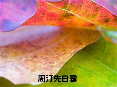 周汀先白霜小说全文（周汀先白霜）完整版阅读-周汀先白霜小说全文无删减版