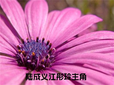 陆成义江彤玲正版小说强推陆成义江彤玲免费小说无弹窗