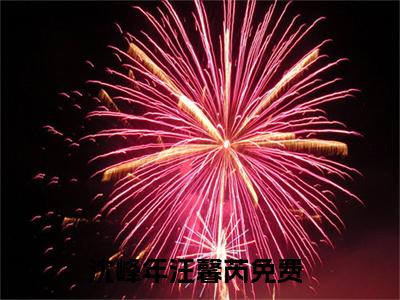 沈峰年汪馨芮（沈峰年汪馨芮）全文免费阅读无弹窗大结局-沈峰年汪馨芮全文未删减阅读（沈峰年汪馨芮）