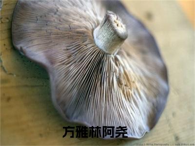 方雅林阿尧(方雅林阿尧）小说全文免费阅读无弹窗大结局_（方雅林阿尧）方雅林阿尧小说全文免费阅读最新章节列表笔趣阁（方雅林阿尧）