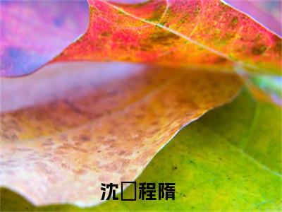 沈玥程隋（沈玥程隋）全文免费阅读无弹窗大结局_沈玥程隋小说沈玥程隋最新章节列表_笔趣阁(沈玥程隋）