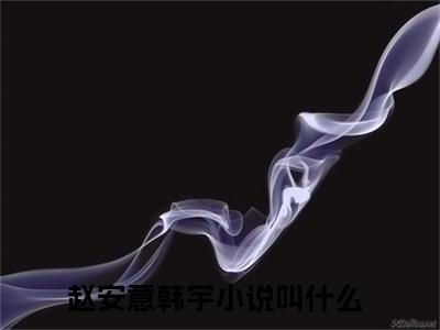 小说（赵安意韩宇）_赵安意韩宇全文阅读_赵安意韩宇免费阅读大结局