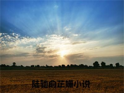 陆驰俞芷姗的小说免费阅读（陆驰俞芷姗小说免费阅读）全文免费阅读大结局-陆驰俞芷姗热门榜单好书推荐