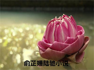 小说（俞芷姗陆驰）_俞芷姗陆驰全文阅读_俞芷姗陆驰免费阅读大结局