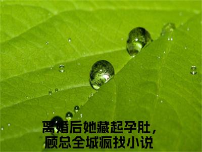 舒皖顾云庭书名是《离婚后她藏起孕肚，顾总全城疯找》在线赏析_离婚后她藏起孕肚，顾总全城疯找热门推荐阅读笔趣阁