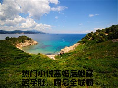 顾云庭舒皖离婚后她藏起孕肚，顾总全城疯找免费阅读大结局无弹窗-顾云庭舒皖小说推荐离婚后她藏起孕肚，顾总全城疯找精彩章节在线阅读