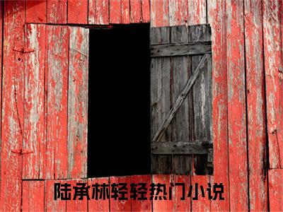 陆承林轻轻（陆承林轻轻）全文免费阅读无弹窗_陆承林轻轻最新小说_笔趣阁（陆承林轻轻）