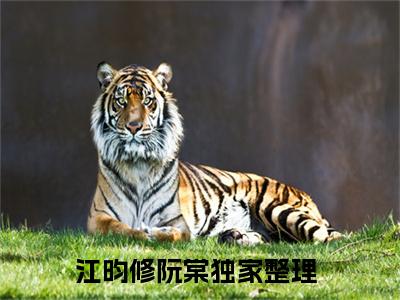 江昀修阮棠（江昀修阮棠）免费阅读全本资源-热门新书江昀修阮棠在线阅读