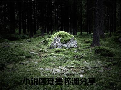 顾瑶墨怀渊全文（顾瑶墨怀渊小说）全文免费阅读无弹窗大结局_顾瑶墨怀渊免费最新章节列表_笔趣阁（顾瑶墨怀渊小说）