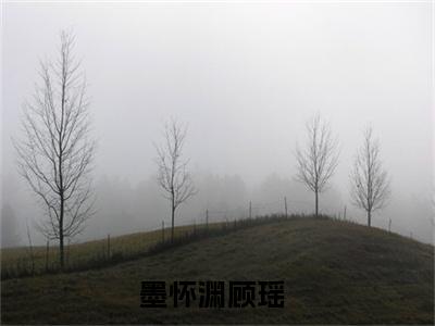 最火言情小说（墨怀渊顾瑶）-老书虫良心推荐墨怀渊顾瑶（墨怀渊顾瑶）小说精彩免费试读