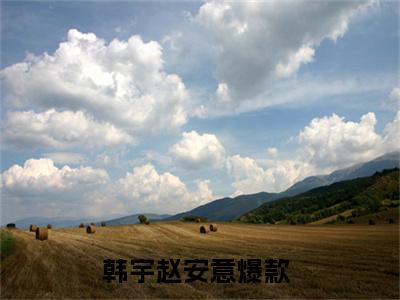 韩宇赵安意免费阅读（韩宇赵安意）全文免费阅读无弹窗大结局_韩宇赵安意免费阅读最新章节列表_笔趣阁