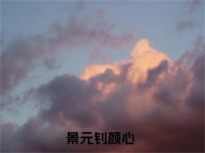 景元钊颜心(景元钊颜心)抖音热推小说全集无删减_(景元钊颜心免费阅读全文大结局)最新章节列表_笔趣阁