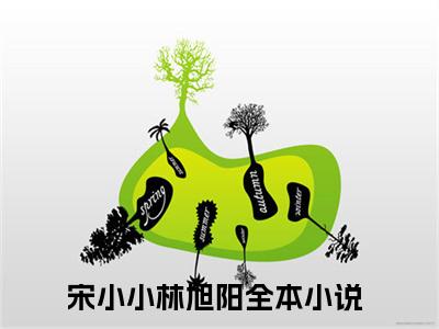 宋小小林旭阳（宋小小林旭阳小说全文）在线阅读无弹窗大结局-宋小小林旭阳全文无删减版阅读