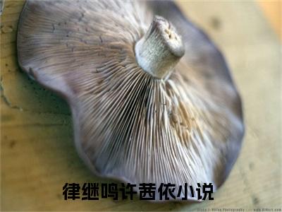 律继鸣许茜依（律继鸣许茜依）全文在线阅读无弹窗大结局_(律继鸣许茜依免费阅读全文大结局)最新章节列表_笔趣阁（律继鸣许茜依）