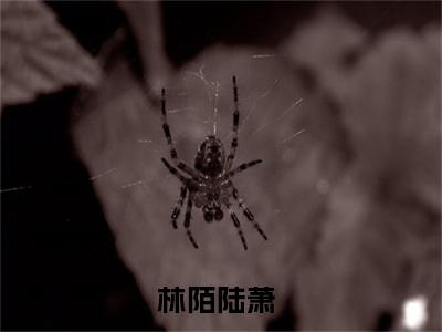 林陌陆萧（林陌陆萧）小说全文免费阅读无弹窗_（林陌陆萧）最新章节列表_笔趣阁