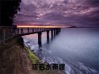 沈若水秦煜全网首发最新小说-沈若水秦煜全文在线免费阅读