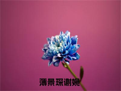 薄景琛谢婉在线阅读（薄景琛谢婉）全文免费阅读无弹窗大结局_薄景琛谢婉免费最新章节列表_笔趣阁