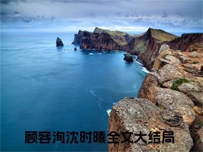 顾容洵沈时曦（顾容洵沈时曦小说）全文免费阅读无弹窗大结局_顾容洵沈时曦小说最新章节列表_（顾容洵沈时曦）