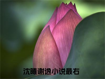 沈曦谢逸大结局免费阅读 沈曦谢逸全文小说