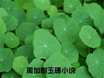 周加树玉珊（周加树玉珊）全文免费阅读无弹窗大结局_（周加树玉珊）章节列表_笔趣阁