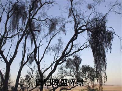 虞归晚盛怀景全文(虞归晚盛怀景)小说免费阅读无弹窗大结局_ 虞归晚盛怀景全文无弹窗完整版阅读