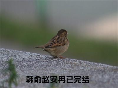 老书虫良心推荐《韩俞赵安冉》韩俞赵安冉小说精彩免费试读