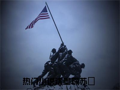 沈墨琛苏嬛（沈墨琛苏嬛）全文免费阅读无弹窗大结局_(沈墨琛苏嬛免费阅读)沈墨琛苏嬛无弹窗最新章节列表_笔趣阁（沈墨琛苏嬛）