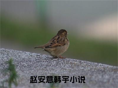 赵安意韩宇抖音新书热荐赵安意韩宇-赵安意韩宇最新小说全文阅读