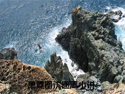 萧霓凰沈遂离（萧霓凰沈遂离）全文免费阅读无弹窗大结局_（萧霓凰沈遂离无弹窗）最新章节免费阅读_笔趣阁