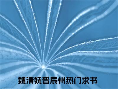 魏清妩晋辰州全集小说（魏清妩晋辰州）全文免费阅读无弹窗大结局_魏清妩晋辰州最新章节列表_笔趣阁（魏清妩晋辰州）