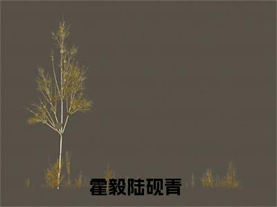 霍毅陆砚青（霍毅陆砚青）全文免费阅读无弹窗大结局_霍毅陆砚青最新章节列表