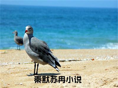 秦默苏冉免费小说 秦默苏冉全文无弹窗完整版阅读