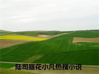 陆司庭花小凡全文免费阅读_（陆司庭花小凡免费阅读无弹窗）陆司庭花小凡最新章节在线阅读