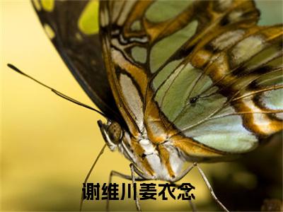 谢维川姜衣念小说小说全文免费阅读（谢维川姜衣念）全文免费谢维川姜衣念读无弹窗大结局