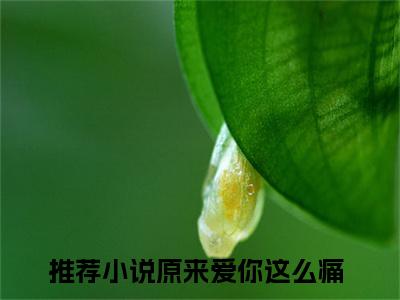 楚世修夏柒柒全文免费阅读-原来爱你这么痛小说（楚世修夏柒柒）免费阅读全文