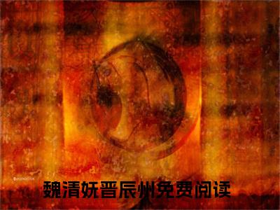 魏清妩晋辰州（魏清妩晋辰州）小说全文免费阅读-魏清妩晋辰州在线阅读的小说完整版