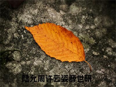 蜜婚甜宠：他以亿万家产护她周全在线阅读全文免费阅读无弹窗大结局_陆允周许云姿薛世研最新章节列表_笔趣阁