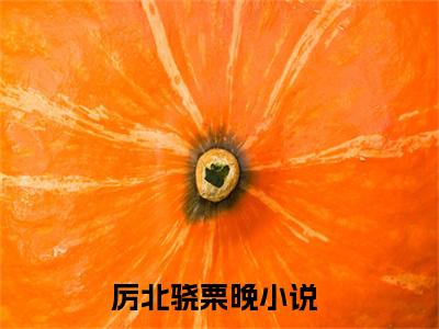 厉北骁栗晚最新章节-（厉北骁栗晚）最新试读-知乎小说