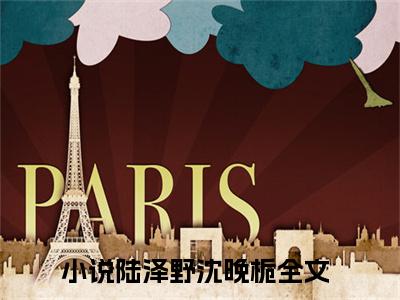 陆泽野沈晚栀小说免费大结局全集免费阅读 陆泽野沈晚栀章节目录