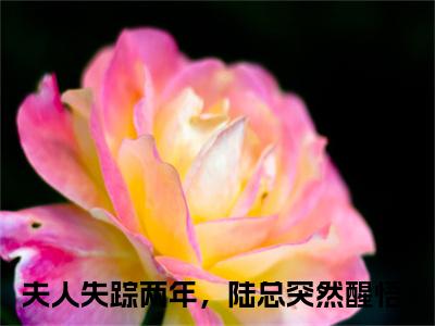 夫人失踪两年，陆总突然醒悟（乔熏陆泽）全文免费阅读无弹窗大结局_夫人失踪两年，陆总突然醒悟小说精彩免费试读