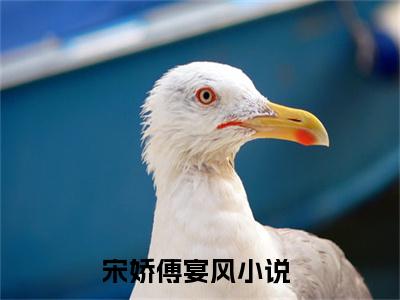 宋娇傅宴风（宋娇傅宴风）全文完整版免费阅读_（宋娇傅宴风全文免费阅读）最新章节列表