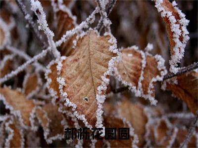 郝栎花圆圆（郝栎花圆圆）最新章节在线阅读-郝栎花圆圆小说完整版阅读