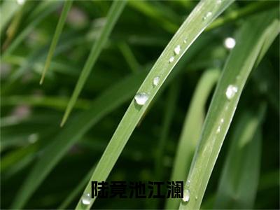 陆竟池江澜小说最新章节阅读-小说（陆竟池江澜）已完结小说精彩大结局