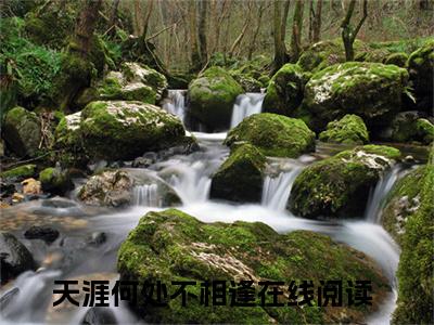 慕容迟苏晴雪小说（天涯何处不相逢）全文免费阅读无弹窗大结局_（慕容迟苏晴雪）天涯何处不相逢小说免费阅读无弹窗最新章节列表_笔趣阁