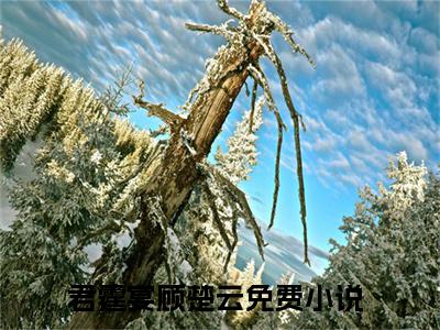 君霆宴顾楚云最新热门小说-（君霆宴顾楚云）最新章节免费阅读