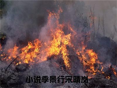 季景行宋晴岚精彩章节-季景行宋晴岚完整版阅读