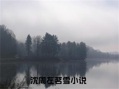 沈周左茗雪(沈周左茗雪)全文免费阅读无弹窗大结局_(沈周左茗雪)小说免费阅读无弹窗最新章节列表_笔趣阁