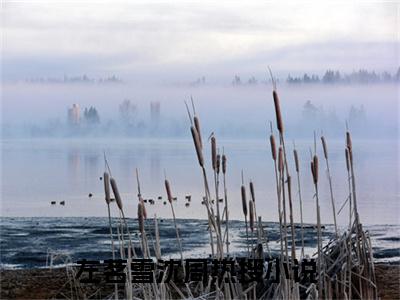 左茗雪沈周（左茗雪沈周）全文免费阅读无弹窗_左茗雪沈周最新小说_笔趣阁（左茗雪沈周）