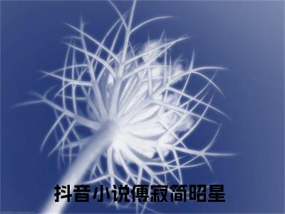 傅寂简昭星新上热文小说（傅寂简昭星）讲的是什么-傅寂简昭星全文完整版免费阅读